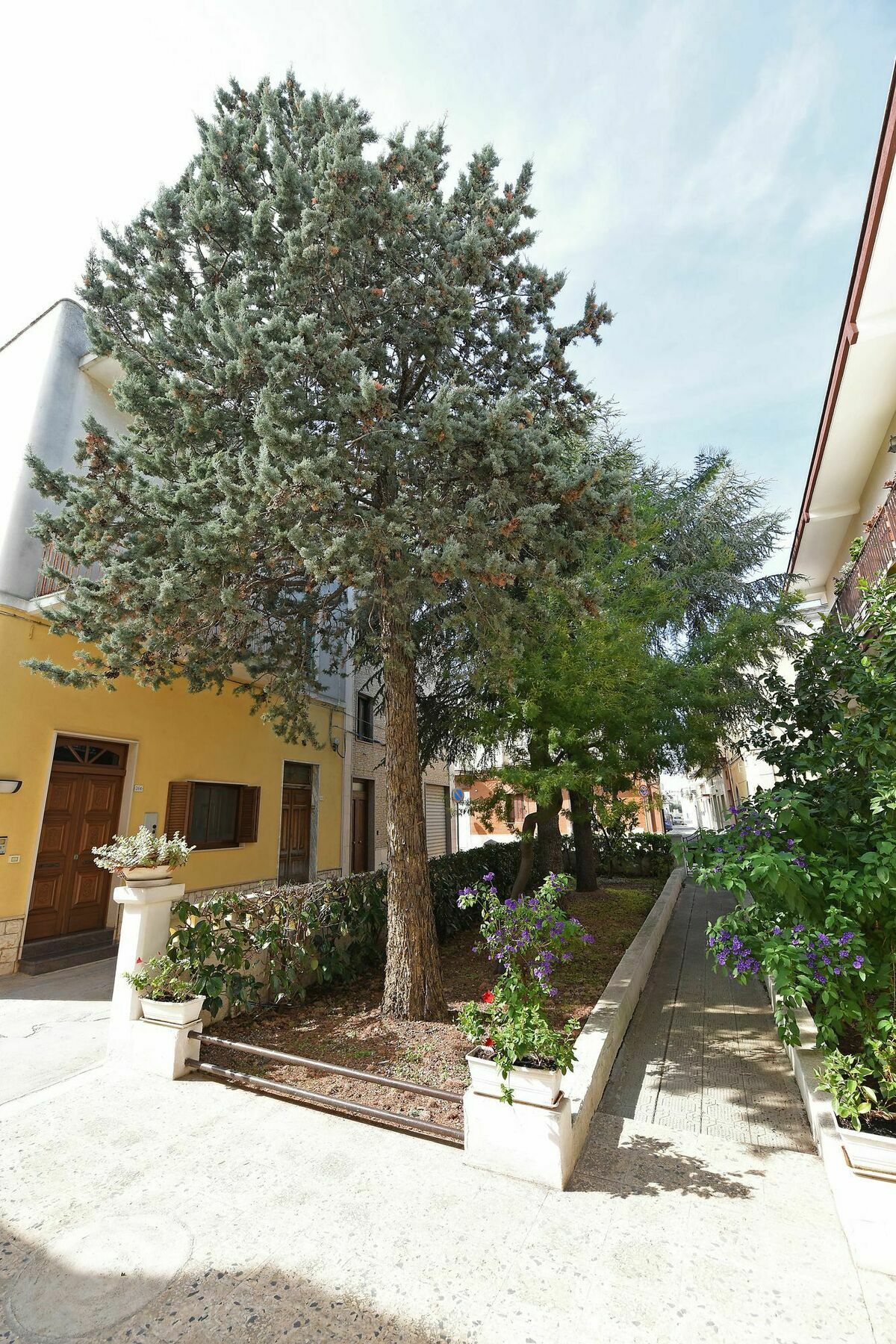 Villa Ricciardi-Suite Famigliare 1-Zona Ostuni Montalbano  Eksteriør billede